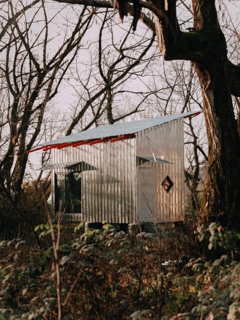 Property building, Day, Garden, Garden view