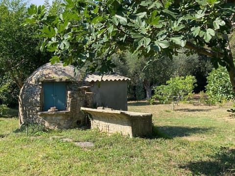 Garden, Garden view, Landmark view