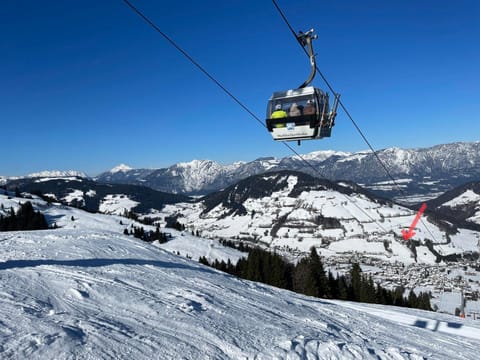 Day, Winter, Skiing