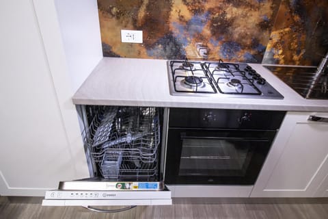 Kitchen or kitchenette, dishwasher, stove, stove, kitchen