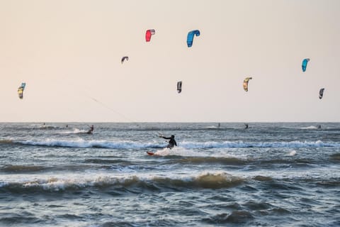 People, Natural landscape, Beach, Windsurfing, Sea view, Sports, group of guests