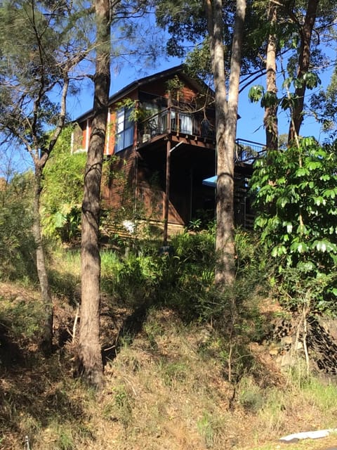 Beautifully Elevated Treehouse Apartment Apartment in Buderim