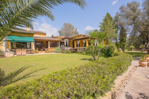 Patio, Garden, Garden view