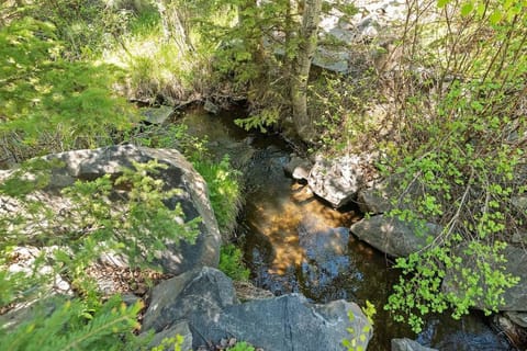 Nature Stay with Views Like No Where Else Casa in West Pennington