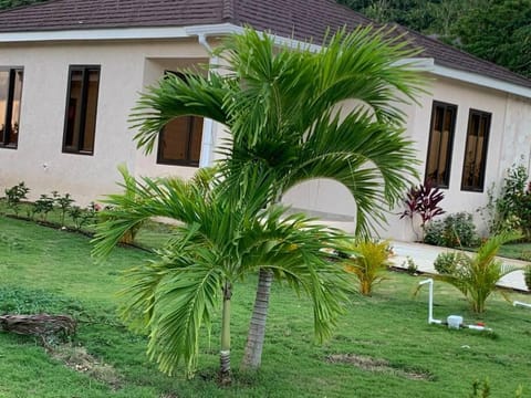 HoneyCove Escape Vacation Home Stay Maison in Ocho Rios