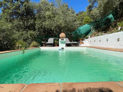 Pool view, Swimming pool