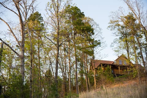 Hilltop at Eagle Ridge cabin House in Broken Bow