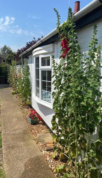 Field Cottage Casa in Whittlesey
