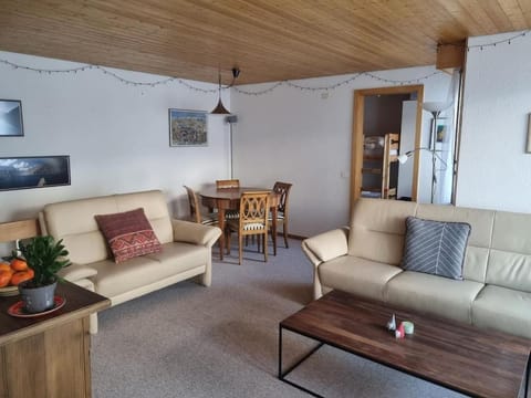 Charming and cosy apartment (sleeps 4-6 people) in a beautiful mountain village Condominio in Murren