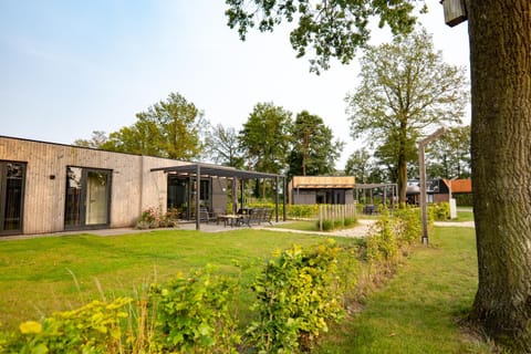 Property building, Garden, Garden view