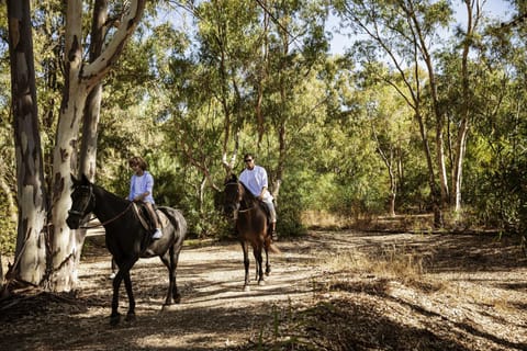 Horse-riding