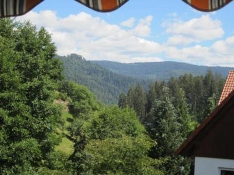 Charmante Wohnung in Bermersbach Apartment in Forbach