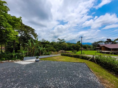 Day, Natural landscape, Garden view