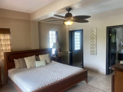 Placencia Pointe Townhomes #5 Haus in Placencia