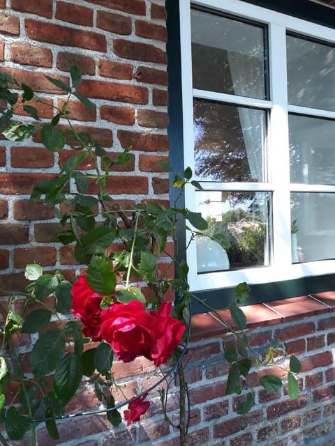 Ferienhaus Vogelsang in Stoltebüll House in Kappeln