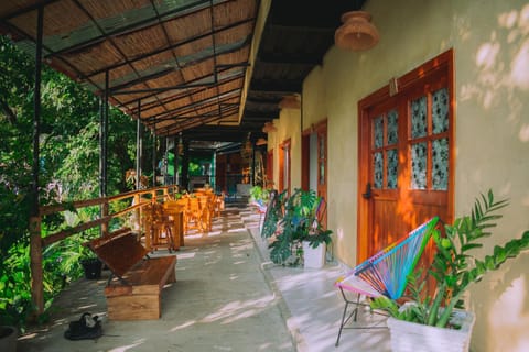 Property building, Patio, Spring, Day, Garden, View (from property/room), Garden view