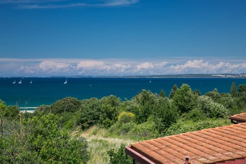 Sea view