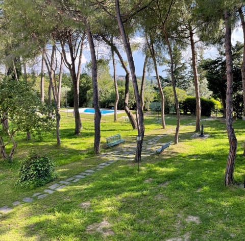 Garden, Garden view, Pool view, Swimming pool