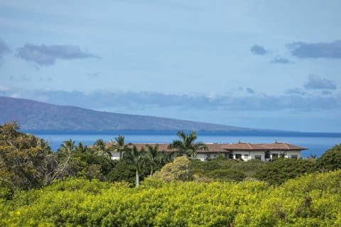 Grand Champions 130 condo Apartment in Wailea