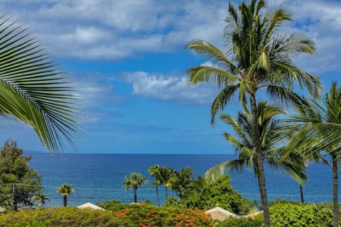 Kihei Akahi by Coldwell Banker Island Vacations Apartment in Wailea