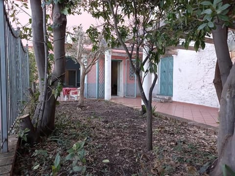 Property building, Garden, Garden view