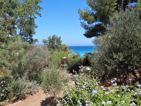 Nearby landmark, Day, Natural landscape, Beach, Sea view