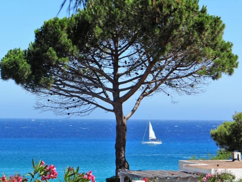 Nearby landmark, Day, Natural landscape, Beach, Sea view