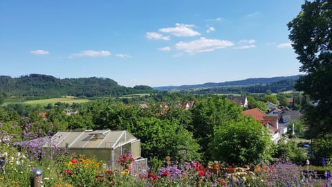 Natural landscape, Garden view