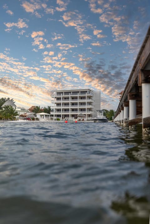 Property building, Sea view, Sunset