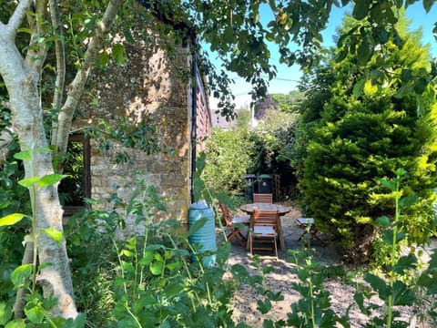 Day, Natural landscape, Garden view