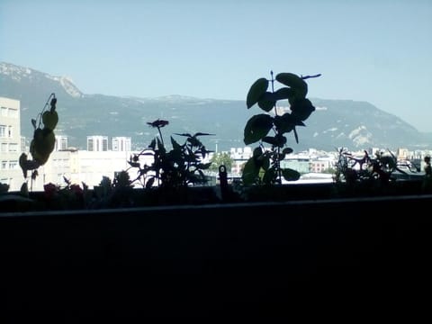 T4 idéal travail temporaire 4 jours min Condo in Grenoble