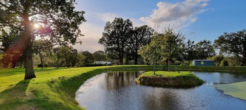 Property building, Day, Natural landscape, Winter, Garden, Lake view