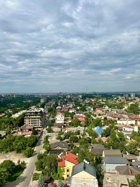 Bird's eye view, City view, Street view