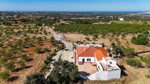 Quinta Coelho Country House in Guia