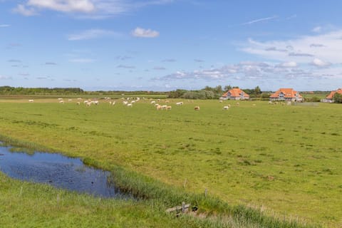 Wadden Villa 12 House in Friesland, Netherlands