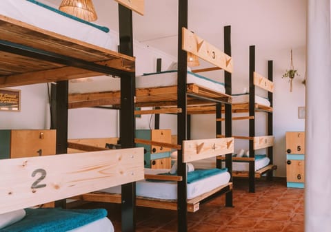 Bed, Photo of the whole room, Bedroom, bunk bed