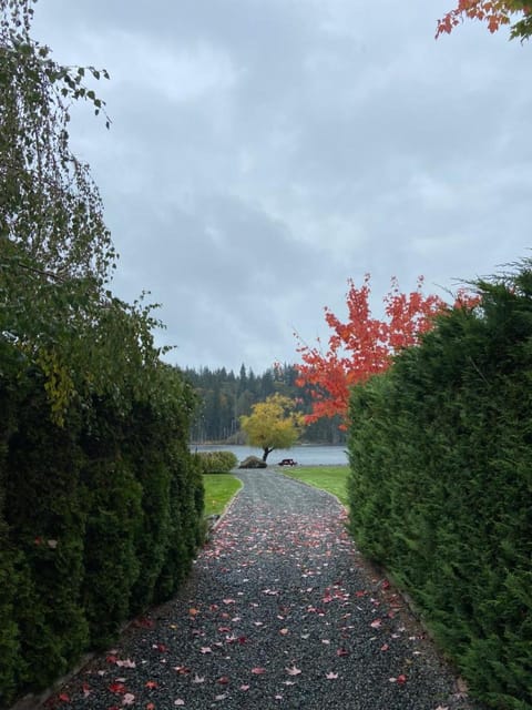 Natural landscape, Lake view