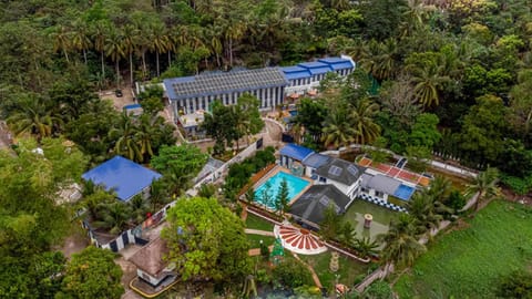 Natural landscape, Bird's eye view, Garden, Pool view