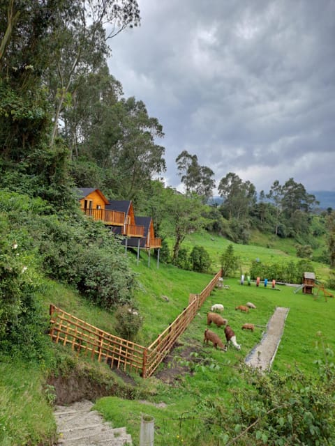 Glamping El Reencuentro Luxury tent in Cotopaxi, Ecuador