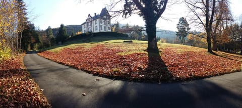 Day, Natural landscape, Autumn, Garden view