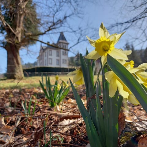 Spring, Day, Garden, Garden view