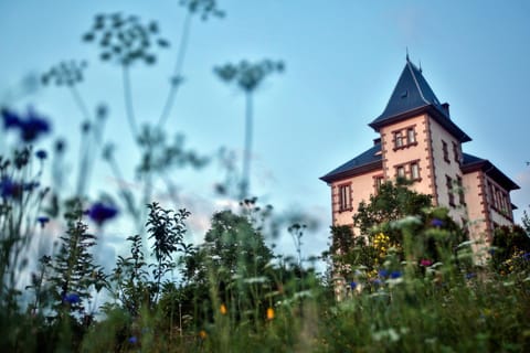 Spring, Day, Garden, Garden view, Landmark view