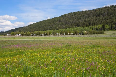 Natural landscape, Area and facilities