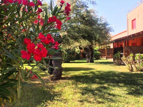 Day, Garden, Garden view