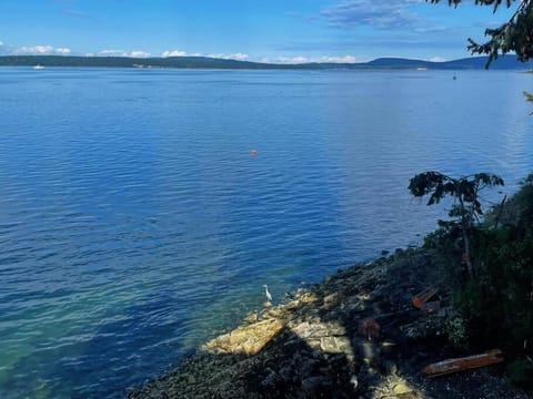 Vancouver Castle Waterfront with hot tub beach downtown Chalet in Chemainus