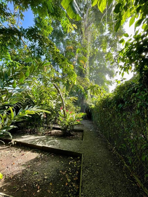 Spring, Day, Natural landscape, Garden, Garden view