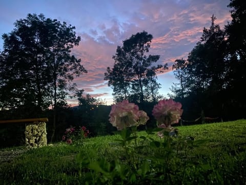 Garden view, Sunset