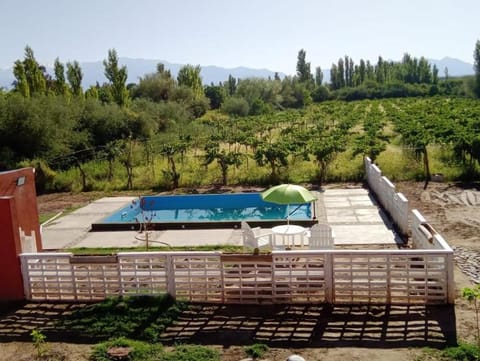 Natural landscape, Garden, Swimming pool