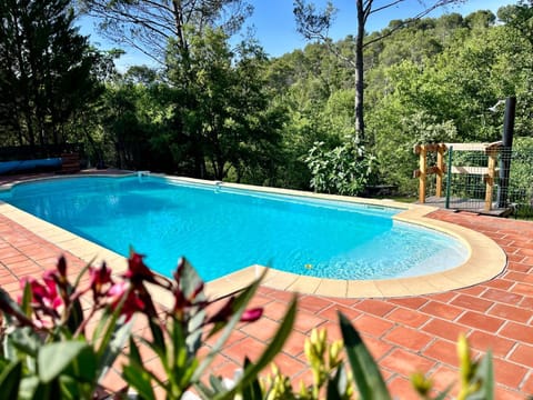 Spring, Natural landscape, Garden view, Swimming pool, sunbed