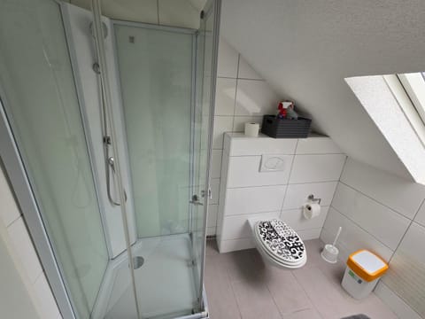 Shower, Toilet